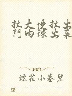 拉大便拉出血肛门肉球出来