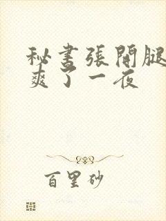 秘书张开腿让我爽了一夜