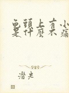 龟头上有小疙瘩是什么不痛不痒