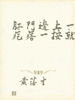 肛门边上一个小疙瘩一按就疼