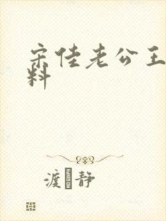 宋佳老公王伟资料封面