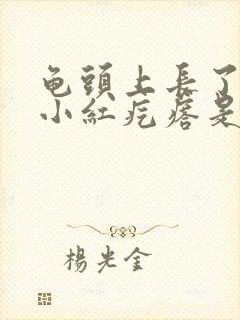 龟头上长了几个小红疙瘩是怎么回事封面