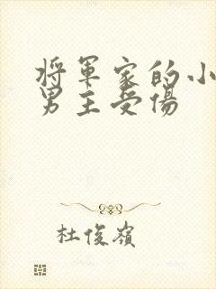 将军家的小娘子男主受伤