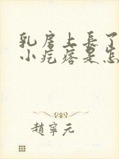 乳房上长了一个小疙瘩是怎么回事封面