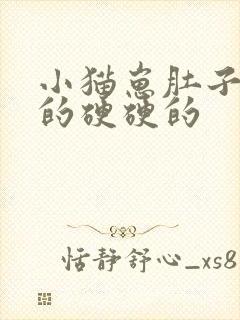 小猫崽肚子鼓鼓的硬硬的封面