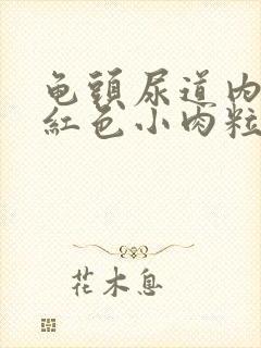 龟头尿道内侧长红色小肉粒