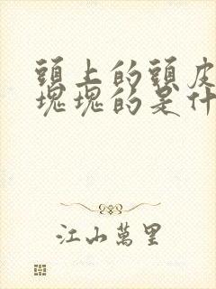 头上的头皮屑一块块的是什么原因封面