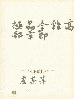 极品全能高手全部章节