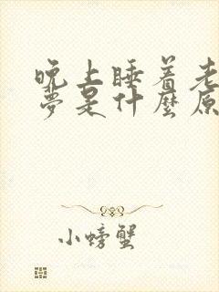 晚上睡着老是做梦是什么原因