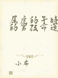 属虎的午时出生的男孩命运怎么样