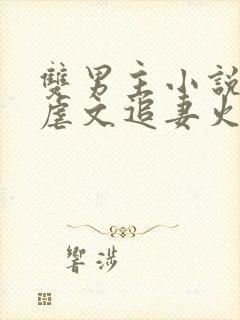 双男主小说推荐虐文追妻火葬场封面