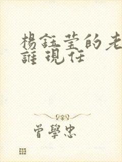 杨钰莹的老公是谁 现任