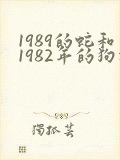 1989的蛇和1982年的狗相配吗?