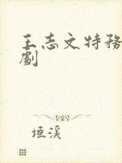 王志文特务谍战剧封面