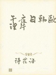 午夜日韩欧美伦理片封面