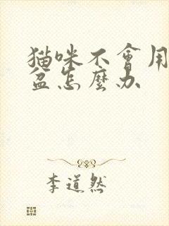 猫咪不会用猫砂盆怎么办