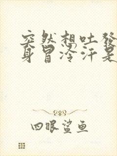 突然想吐发晕浑身冒冷汗是怎么回事