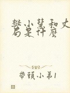 樊小慧和丈夫结局是什么