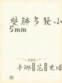 双肺多发小结节5mm