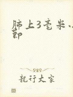 肺上3毫米小结节