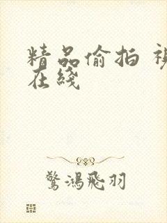 精品偷拍 视频在线