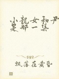 小龙女和尹志平是哪一集