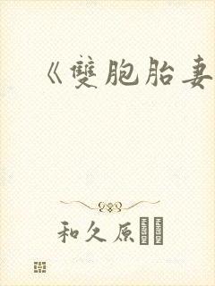 《双胞胎妻子》