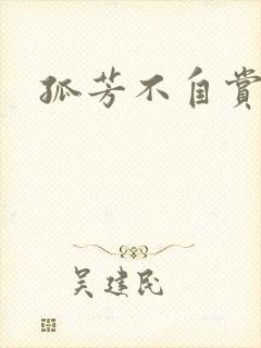 孤芳不自赏小说