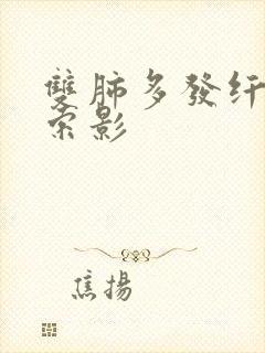 双肺多发纤维条索影