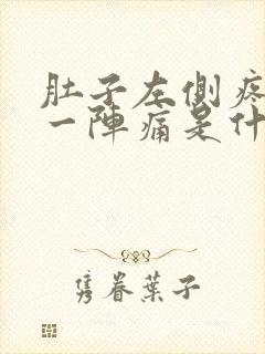 肚子左侧疼一阵一阵痛是什么原因