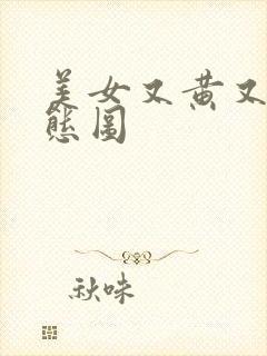 美女又黄又色动态图