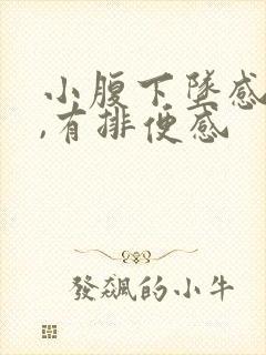 小腹下坠感胀痛,有排便感