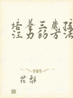 培养三岁孩子专注力的方法