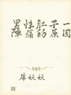 男性肚子一阵一阵痛的原因