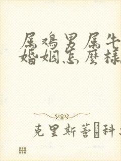 属鸡男属牛女的婚姻怎么样