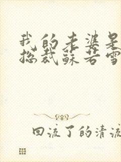 我的老婆是冰山总裁苏若雪沈浪