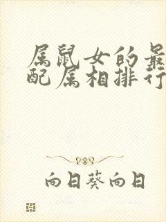 属鼠女的最佳婚配属相排行