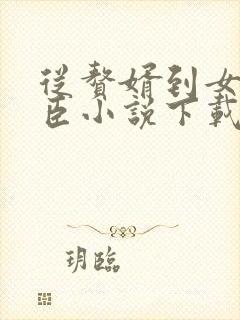 从赘婿到女帝宠臣小说下载txt