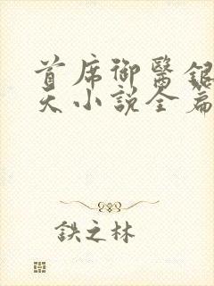 首席御医银河九天小说全篇