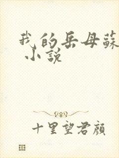 我的岳母苏沛真 小说