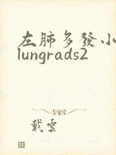左肺多发小结节lungrads2