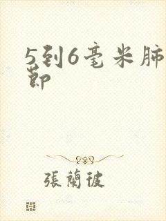 5到6毫米肺结节封面