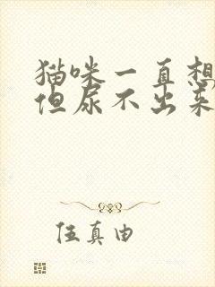 猫咪一直想尿,但尿不出来怎么办