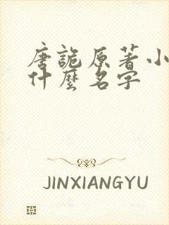 唐诡原著小说叫什么名字封面