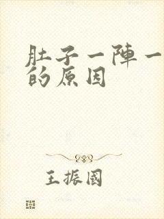 肚子一阵一阵痛的原因封面