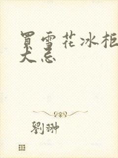 买雪花冰柜10大忌封面