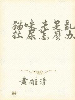 猫咪老是乱拉屎拉尿怎么办封面