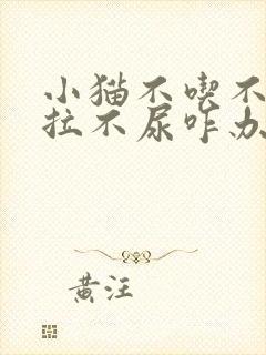 小猫不吃不喝不拉不尿咋办