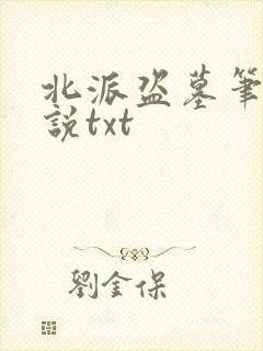 北派盗墓笔记小说txt封面