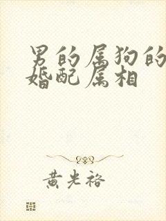 男的属狗的最佳婚配属相